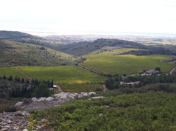 Tocht Mountainbike Fabrègues - Gardiole - Photo