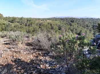 Excursión Senderismo Belcodène - Belcodene-La Bouillaidisse- La Grotte du Tonneau - Photo