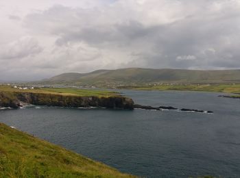 Tocht Te voet Kenmare Municipal District - Bray Head Loop - Photo