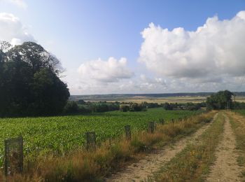 Trail Walking Allaire - 223.- Bocquéreux bis - Photo