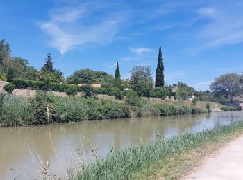 Randonnée Marche Bize-Minervois - CC_Piemont_AC_03_Bize-Minervois_Homps_20240613 - Photo