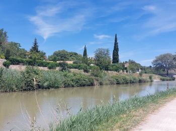 Trail Walking Bize-Minervois - CC_Piemont_AC_03_Bize-Minervois_Homps_20240613 - Photo