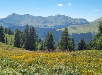 Tour Wandern Les Gets - MONT CALY MONT CHERY LES GETS 8 JUILLET 2022 - Photo