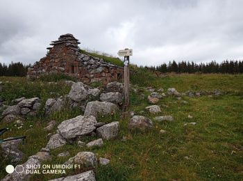 Tocht Stappen Laveissière - Burons  - Photo