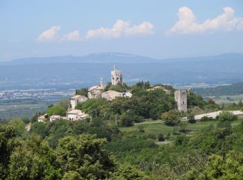 Randonnée Vélo de route Saint-Paul-Trois-Châteaux - Petit tour du Tricastin - Photo