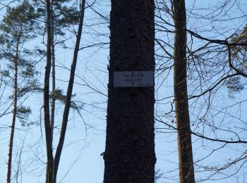 Tocht Te voet Onbekend - DE-SAV Blauer Balken, Stuttgart-Rohr - Sindelfingen - Photo