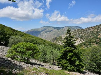 Tocht Te voet Petralia Sottana - Pomieri - Polizzi Generosa - Photo