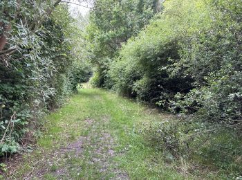 Randonnée Marche Audenarde - Audenarde Oudenaarde 11,6 km - Photo