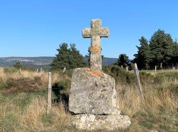 Trail Walking Rocles - Palhères - lac de Naussac - Bessettes - Photo