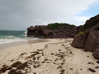 Randonnée Marche Le Marin - Grand Macabou - Boucle des Mornes - Photo