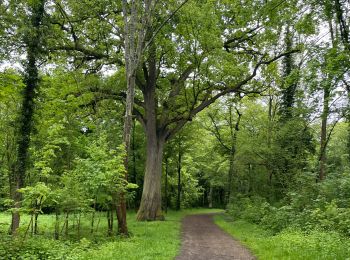 Tour Wandern Marcoussis - 2804_2024 - Photo