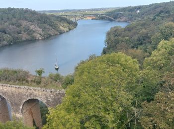 Excursión Senderismo La Roche-Bernard - PR_56_La-Roche-Bernard_AA_01_Circuit1b_Des-Ponts_20230930 - Photo