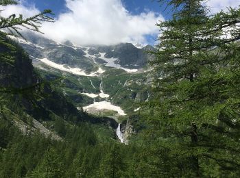 Tour Zu Fuß Antrona Schieranco - C23 - Campliccioli, bivio C00 - Alpe Lombraoro sotto, bivio C00 - Photo