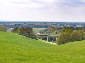 Randonnée A pied Schlangen - Rundwanderweg S (Rund um Schlangen) [Schlangen] - Photo