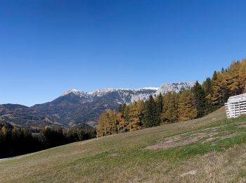 Randonnée A pied Gemeinde Breitenstein - Orthof - Falkensteinhöhle - Adlitzgraben - Photo