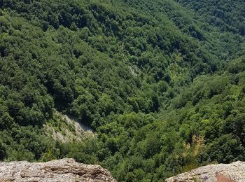 Excursión Senderismo Plateau d'Hauteville - Marais des Lesines-Charabotte - Photo