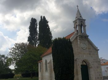 Tour Wandern Le Grand-Village-Plage - découverte oléron - Photo