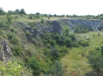 Excursión A pie Slatinky - NS Velký Kosíř - Photo