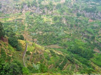 Tocht Te voet Ribeira Brava - Levada do Norte (SOUTH) - Photo