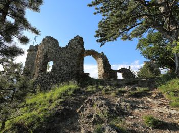 Excursión A pie Gemeinde Wartmannstetten - Gleißenfeld - Wartmannstetten - Photo