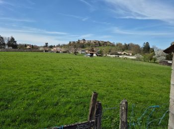 Randonnée Marche Pérouges - perouges - Photo