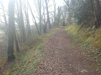 Randonnée Marche Saint-Lô - Saint Lô - 19/02/2019 - Photo