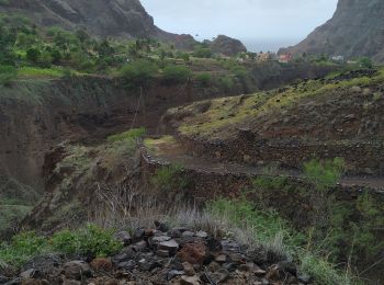 Tour Wandern  - Cha de Igreja - Boca de Coruja - Photo