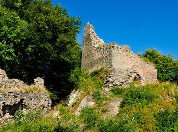 Tour Zu Fuß  - Cozmeni - Băile Balvanyos - Photo