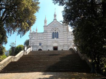 Randonnée A pied Zoagli - Rapallo - Montallegro - Monte Pegge - Passo della Serra - Photo