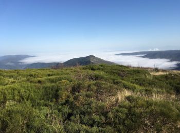 Trail Walking Gourdon - Roc de Gourdon  - Photo