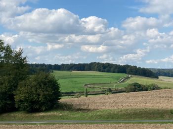 Tocht Stappen Lyons-la-Forêt - La Bosse, le Val Bagnard, les Trous Museaux, Lorleau, Lyons  - Photo