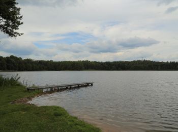 Tocht Te voet Märkische Heide - Rundwanderweg Groß Leuthener See - Photo