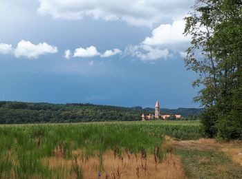 Tocht Stappen Kiischpelt - Eisleck Trail Jour 1 - Photo