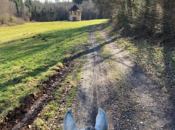 Excursión Paseo ecuestre Badonviller - Rando Tivio Joyeux rejoindre acpl pré barbier  - Photo