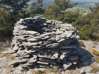 Tocht Stappen Fay-sur-Lignon - monts d'ardeche - Photo