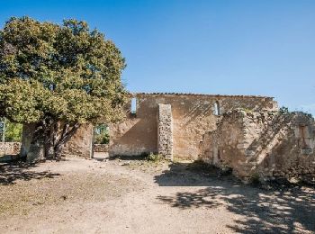 Randonnée Marche La Tour-d'Aigues - PF-La Tour-d'Aigues - La Bastidonne - Chapelle St Julien - FV - RECO - Photo