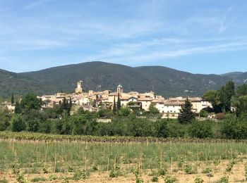 Trail Walking Cadenet - PF-Cadenet - De Cadenet à Lourmarin - 3 - Photo