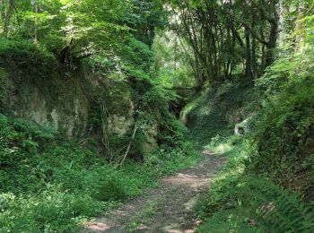 Tour Wandern Rivarennes - Rivarennes - Zig zag GR3 Cheillé - 23.4km 405m 5h05 (50mn) - 2024 06 09 - Photo