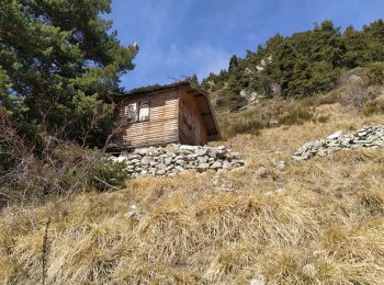 Tocht Stappen Roquebillière - Abri berger 1512m après Granges de Pale - Photo