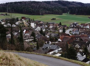 Tocht Te voet Oberembrach - Oberembrach - Breite - Photo