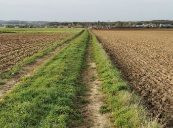 Randonnée Marche Baron-sur-Odon - Baron-sur-Odon 7,5 km - Photo