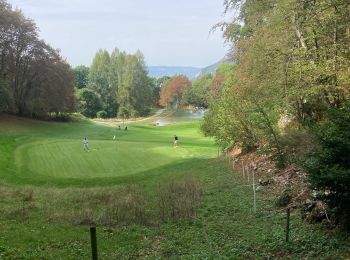 Percorso Marcia Talloires-Montmin - Annecy - Photo