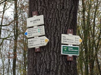 Randonnée A pied Hudlice - NS Krušná Hora - Photo