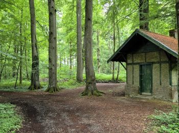 Percorso Marcia Herlin-le-Sec - Le Ternois - Photo