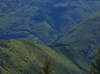 Tour Wandern La Pesse - Crêt de Chalam  - Photo