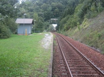 Randonnée A pied Gemeinde St. Veit an der Gölsen - Schwarzenbacher Rundwanderweg 01 - Photo