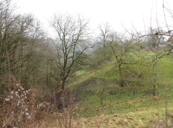 Tocht Te voet Untergruppenbach - Untergruppenbach Rundwanderweg R - Photo