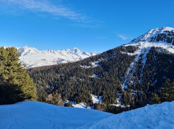 Trail Snowshoes La Plagne-Tarentaise - Bellecôte, Plagne Soleil, Centre, 1800 - Photo