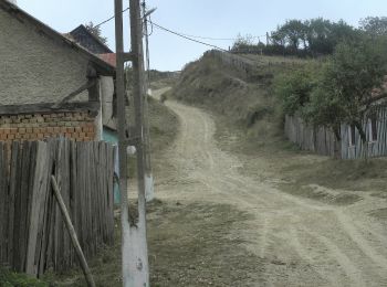 Randonnée A pied Șopotu Nou - Ravensca – Garnic – Carbunari (Red dot tourist path) - Photo