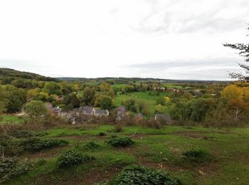 Tocht Stappen Voeren - Fouron-le-Comte (Balade 4) - Photo